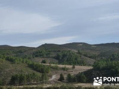 Monasterio de Bonaval - Cañón del Jarama - Senderismo Guadalajara; senderismo cazorla